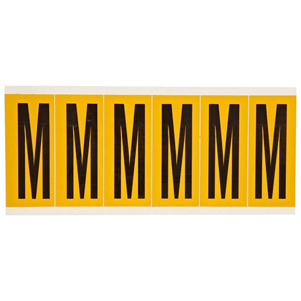 Letter Label, M, 1-1/2 in. W x 3-1/2 in. H