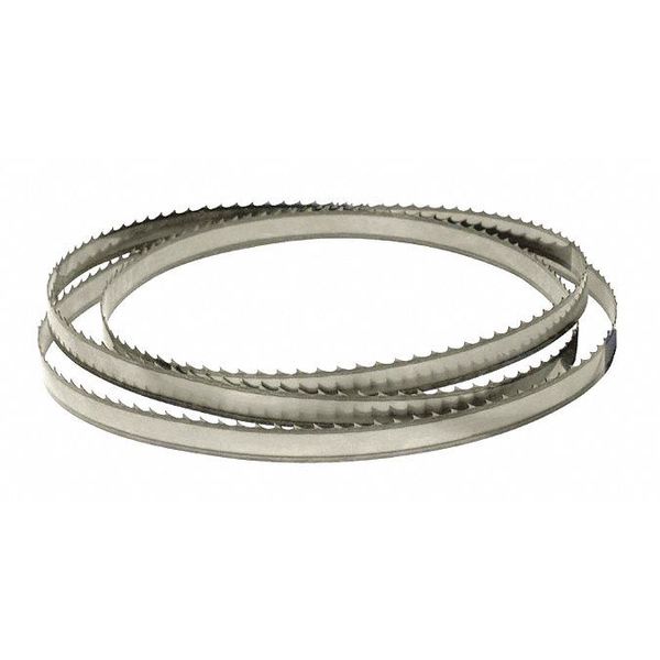 Band Saw Blade, 64-1/2 in L, 1/2