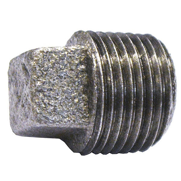 Galvanized Square Head Plug, 1/2 In