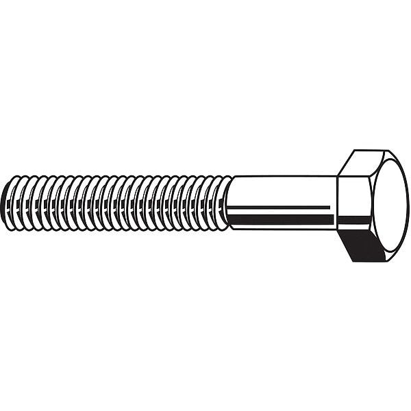 Not Graded, 5/8