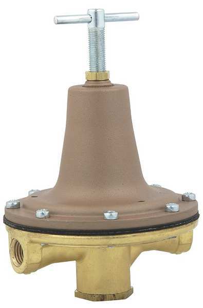 Pressure Regulator, 1/4 in., 0 to 50 psi