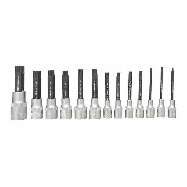 Star Tip Socket Bit Set, Torx, 13 pcs