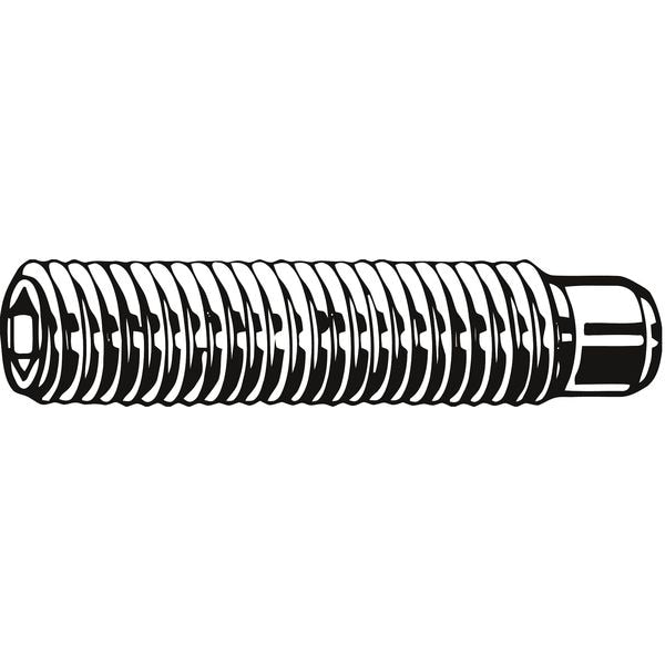 Sckt Set Scrw, 1/2 Dog, 1/4-20x5/16, PK100