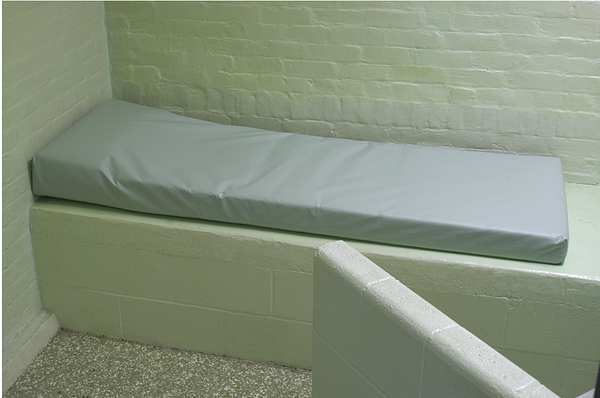 Mattress, 80x36in, 10oz Poly, Clear, Pillow