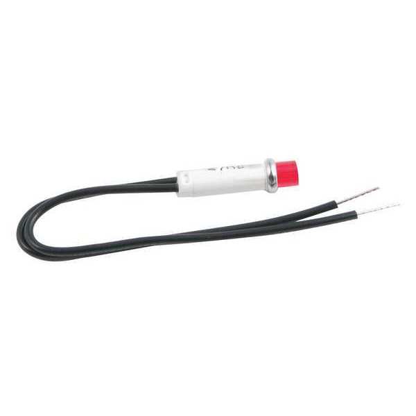 Light 220V with Retaining Ring