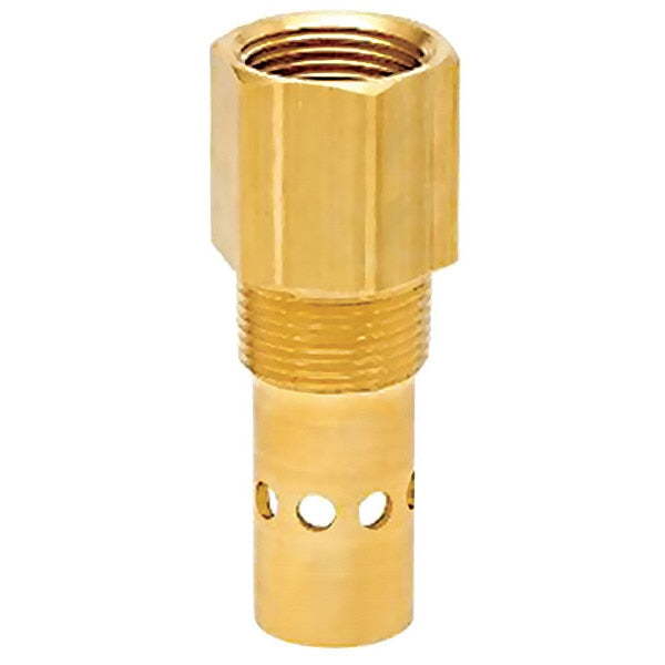 Check Valve, Intake, 3/4in