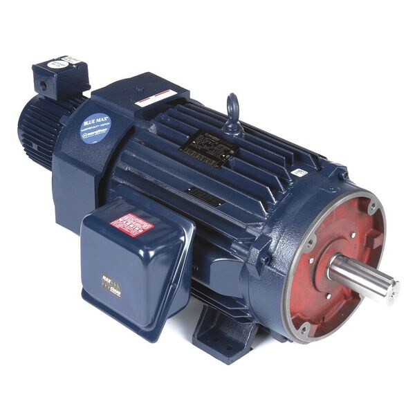 Vector Motor, 3-Phase, 30HP, 230/460V
