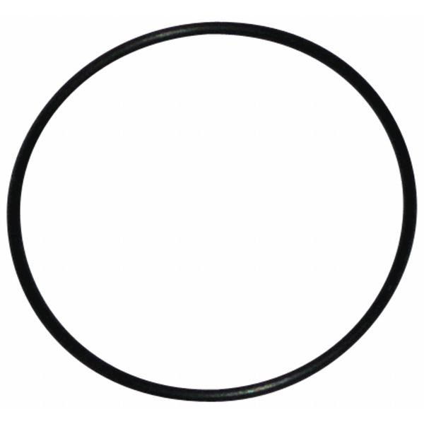 O-Ring, 24.0 x 1.0 55176, 1/pk