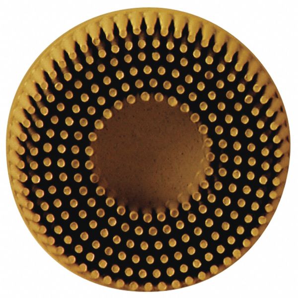 Roloc Bristle Disc 07525, 2inx5/8 Tapere