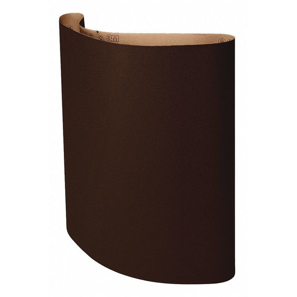 Surface Conditioning Low Stretch Belt, 5