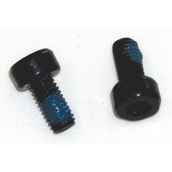 28391 Polisher Screw M5 x 10 30913, 2 per bag 1 bag/pk