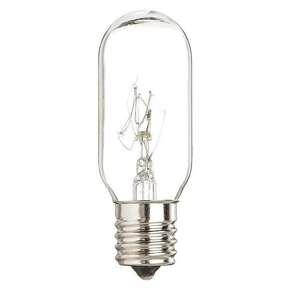 Microwave Light Bulb