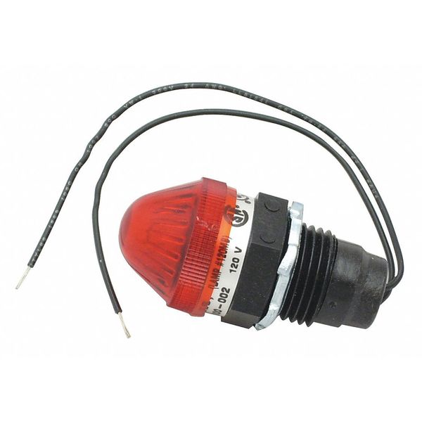Pilot Light, 120V