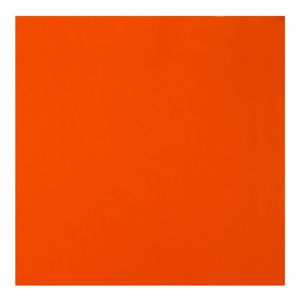 Protect-O-Screens (R) 6 ft. Wx4 ft., Orange