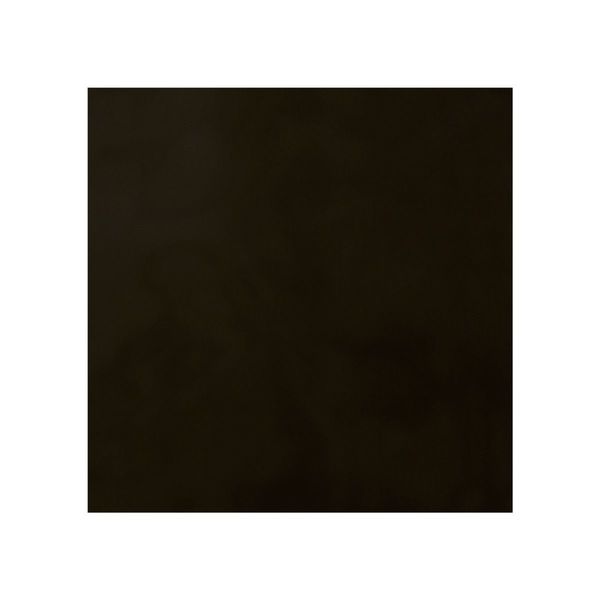 Protect-O-Screens (R) 6 ftWx4 ft, Charcoal Gray