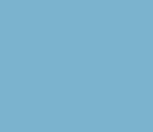 Colorant, 1 pt., Smoke Blue