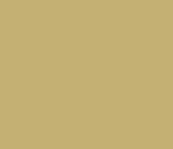 Colorant, 1 pt., Sandy Beige