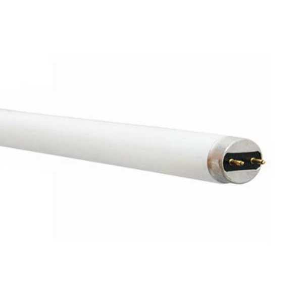 Fluorescent Linear Lamp, T8, Cool, 4100K