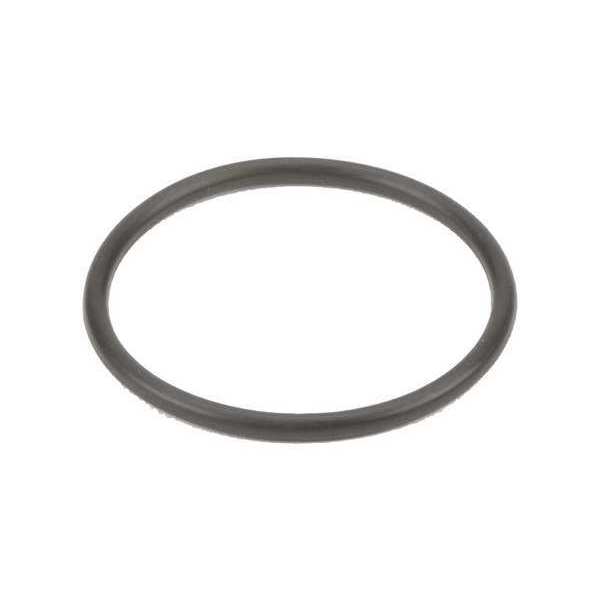 Gasket, T Line Strainer, 3/4-1 In