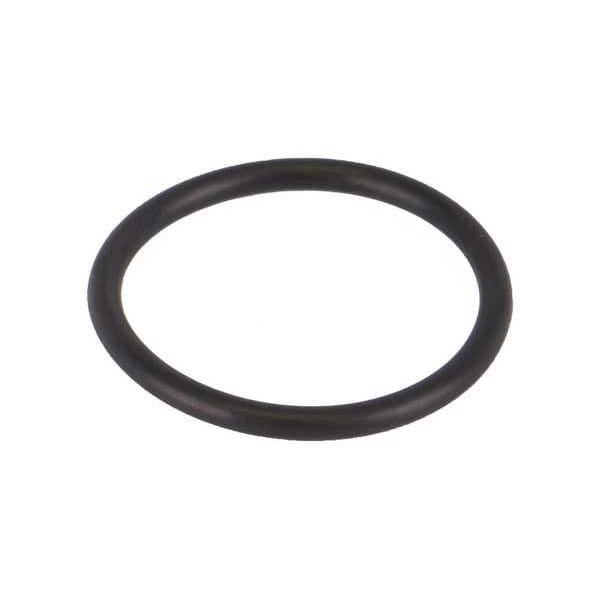 Gasket, Y Strainer, 1/2-3/4 In