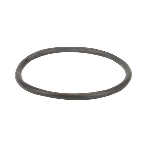 Gasket, Y Strainer, 1 1/2-2 In
