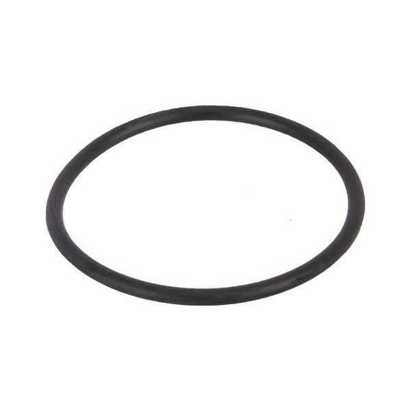 Gasket, Y Strainer, 1-1 1/4 In