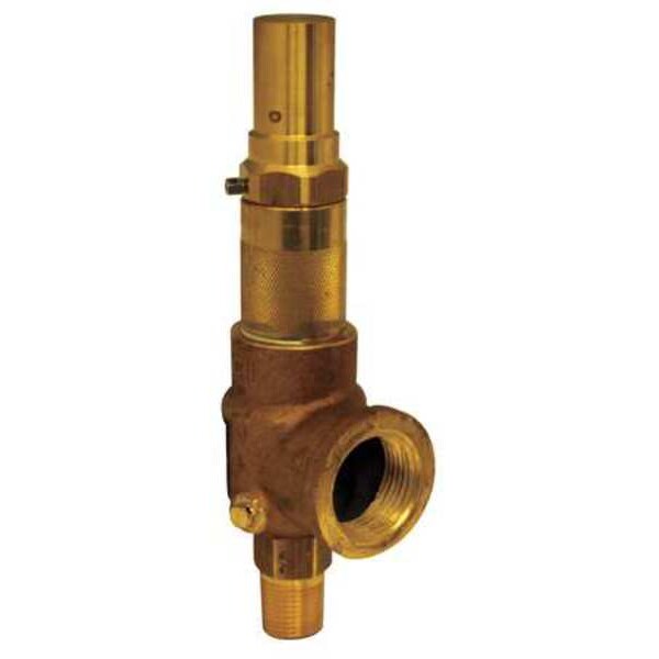 Adjustable Relief Valve, 1/2 In, 60 psi