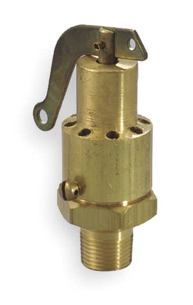 Safety Relief Valve, 1/4 In, 100 psi, Brass