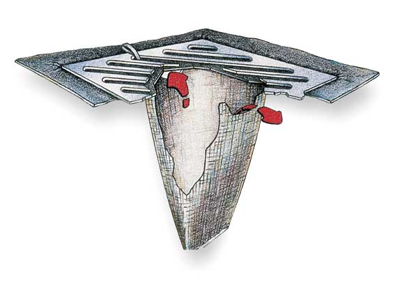 Drain Guard, Trash & Debris Model