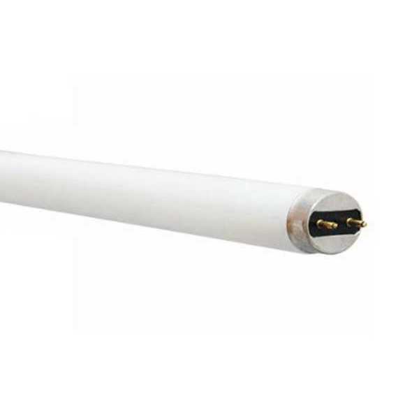 Fluorescent Linear Lamp, T8, Cool, 4100K