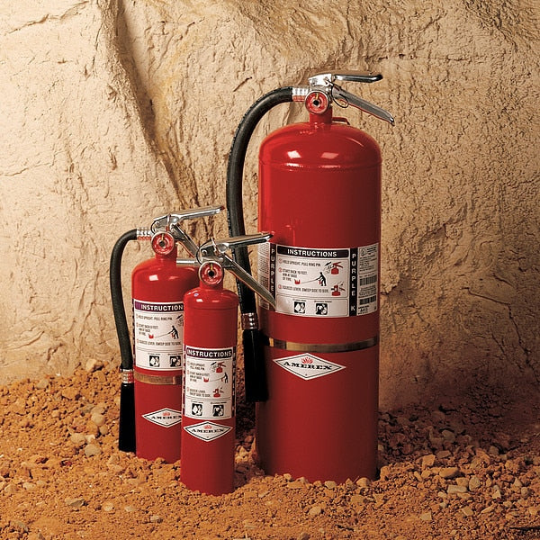 Fire Extinguisher, 120B:C, Purple K, 20 lb