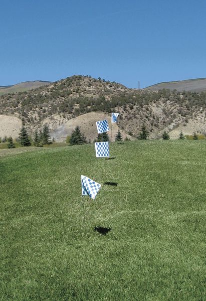 Marking Flag, Blue/White, Vinyl, PK100