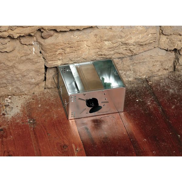 Mouse Trap , 9-1/4 in. L, 7-1/2 in. W