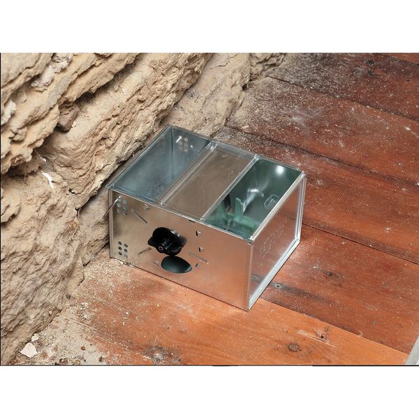 Mouse Trap , 9-1/4 in. L, 7-1/2 in. W