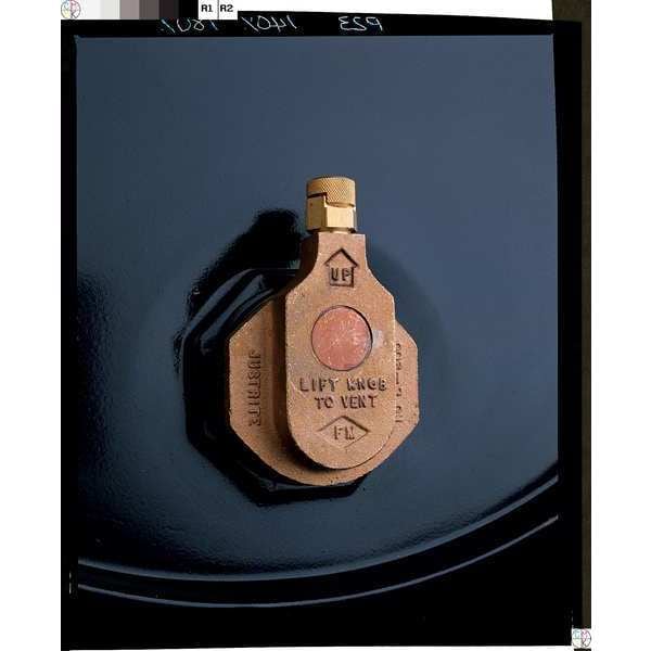 DRUM VENT REPLACEMENT GASKET, FOR 2 IN