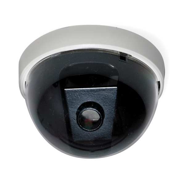 Dummy Security Camera, Ceiling Mount