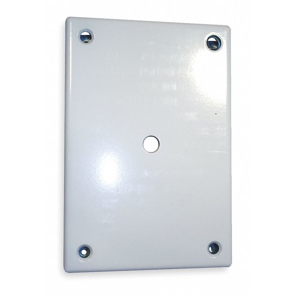 Security Wall Plate, White