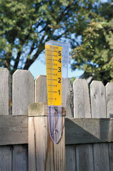 Rain Gauge, 0 to 5 in., Polycarbonate