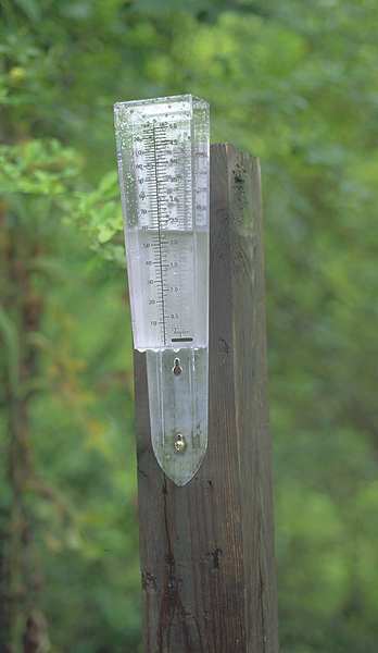 Rain Gauge, 0 to 5 in., Polycarbonate