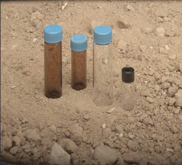 Vial Screw Cap Glass 2ml Amber, PK100