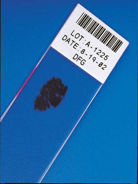 Printer Cleaning Cards, for use with G1408653, Pk5