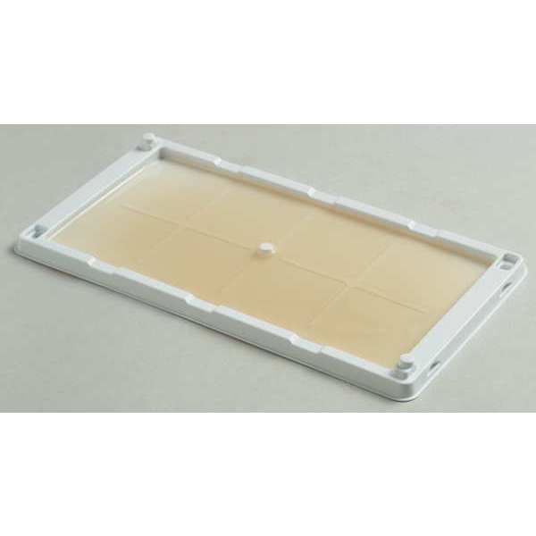 Glue Trap, Cold Temperature, PK2