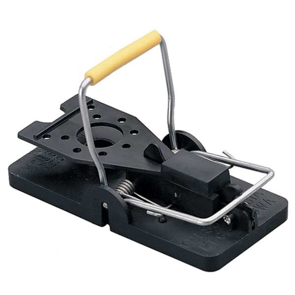 Rat Trap, 5-1/2 in. L, 3 in. W