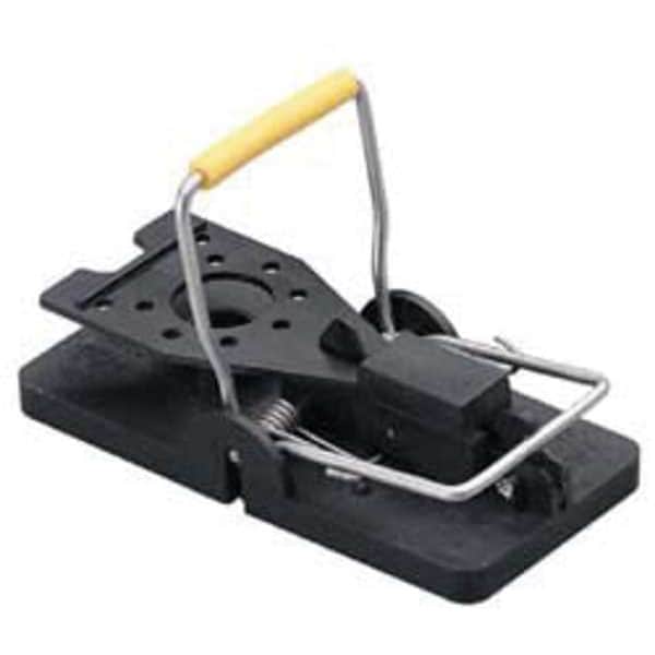 Rat Trap, 5-1/2 in. L, 3 in. W