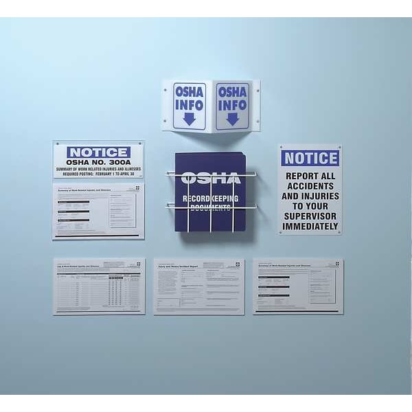 Forms, OSHA 300 Log