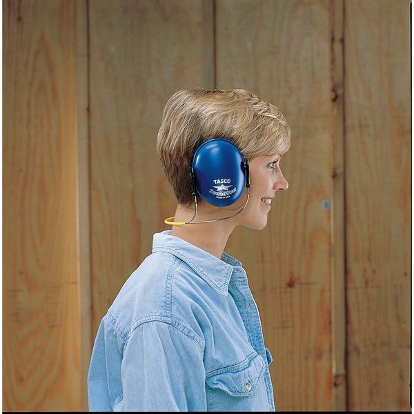 Hard Hat Mounted Ear Muffs, 24 dB, Sound Star, Black