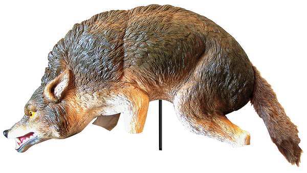 Coyote Bird Repeller, 3D