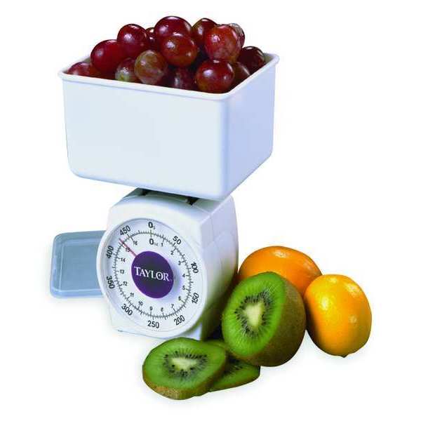 Mechanical Diet Scale, Plastic Platform