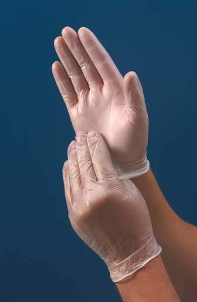 Vinyl Exam Gloves, Vinyl, Powder Free, Clear, L, 100 PK