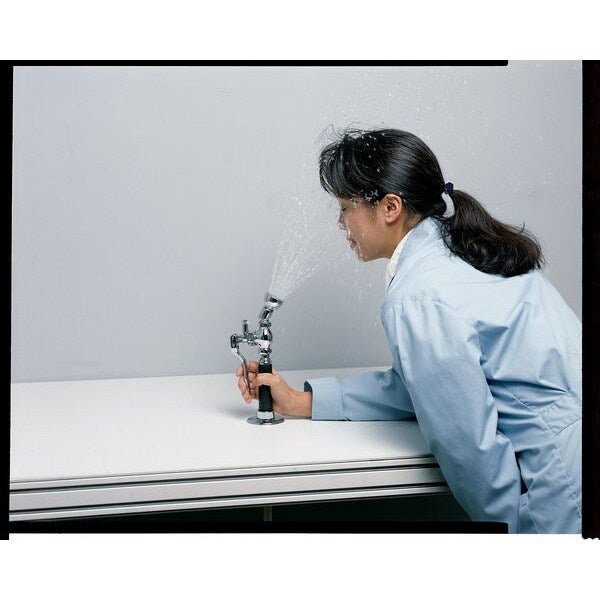 Dual Head Drench Hose, Countertop, 6 ft.
